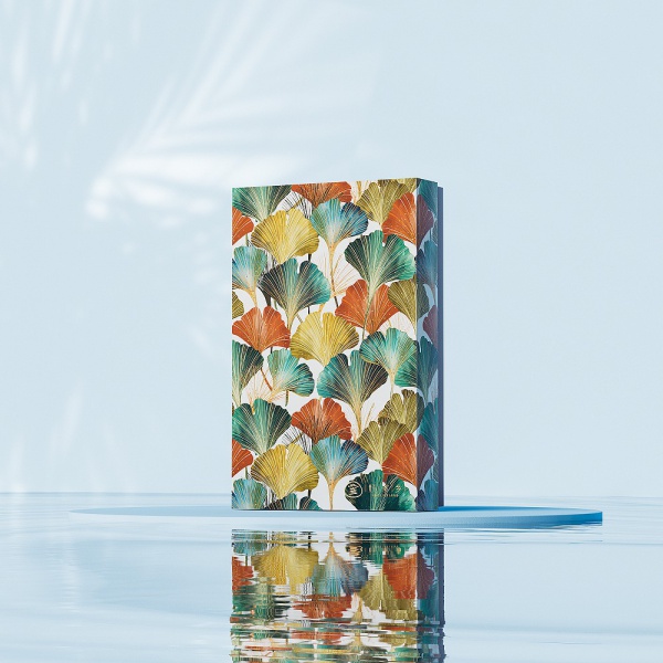 好(hǎo)家(jiā)鄉(xiāng)金(jīn)杏月(yuè)餅禮盒