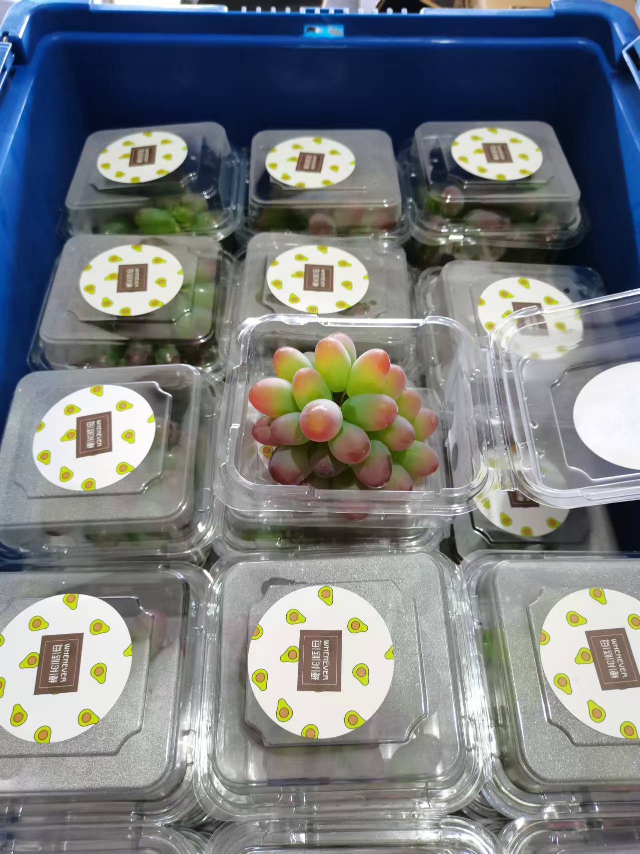 下(xià)午茶系列